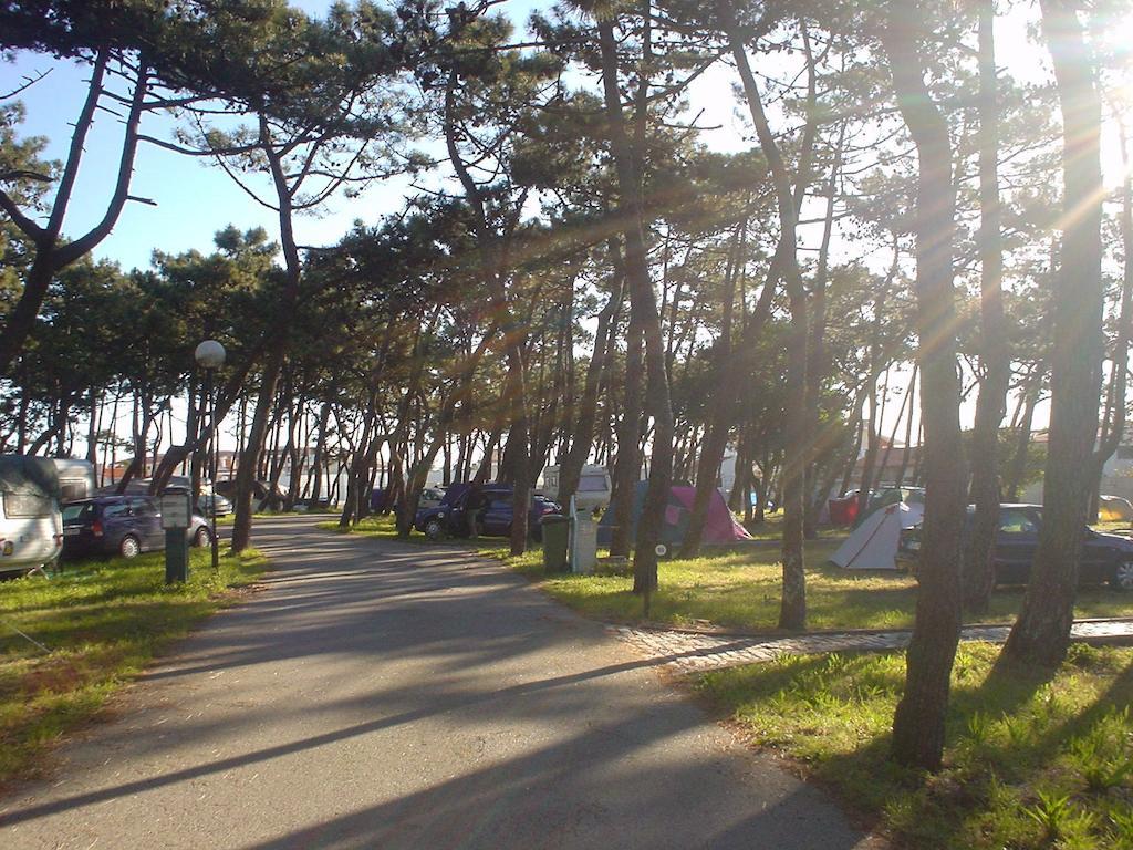 Parque De Campismo Da Praia Da Barra Гафанья-да-Назарэ Экстерьер фото